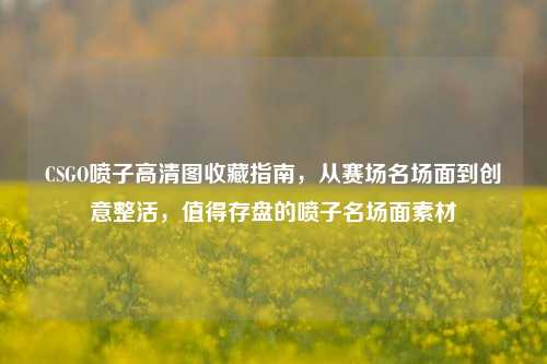 CSGO喷子高清图收藏指南，从赛场名场面到创意整活，值得存盘的喷子名场面素材