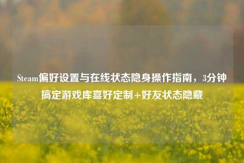 Steam偏好设置与在线状态隐身操作指南，3分钟搞定游戏库喜好定制+好友状态隐藏