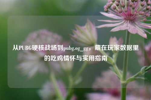 从PUBG硬核战场到pubg.og_gg，藏在玩家数据里的吃鸡情怀与实用指南