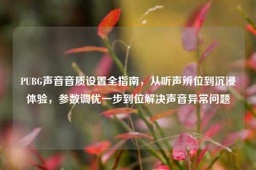 PUBG声音音质设置全指南，从听声辨位到沉浸体验，参数调优一步到位解决声音异常问题