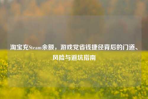 淘宝充Steam余额,游戏党省钱捷径背后的门道、风险与避坑指南