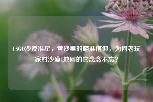 CSGO沙漠准星,黄沙里的瞄准信仰,为何老玩家对沙漠1地图的它念念不忘?