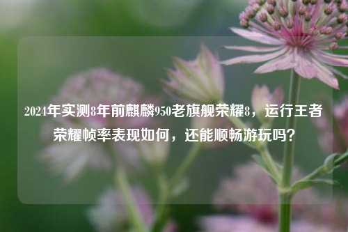 2024年实测8年前麒麟950老旗舰荣耀8,运行王者荣耀帧率表现如何,还能顺畅游玩吗?