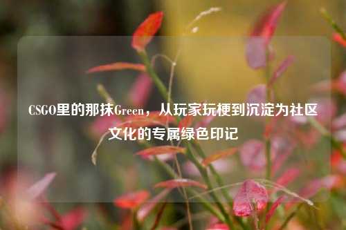 CSGO里的那抹Green,从玩家玩梗到沉淀为社区文化的专属绿色印记