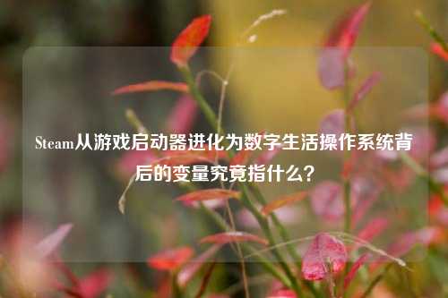 Steam从游戏启动器进化为数字生活操作系统背后的变量究竟指什么？