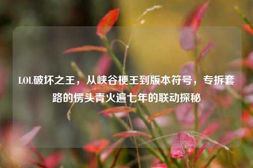 LOL破坏之王,从峡谷梗王到版本符号,专拆套路的愣头青火遍七年的联动探秘