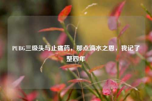 PUBG三级头与止痛药,那点滴水之恩,我记了整四年