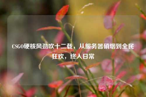 CSGO硬核风劲吹十二载,从服务器硝烟到全民狂欢,终入日常