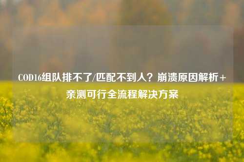 COD16组队排不了/匹配不到人?崩溃原因解析+亲测可行全流程解决方案