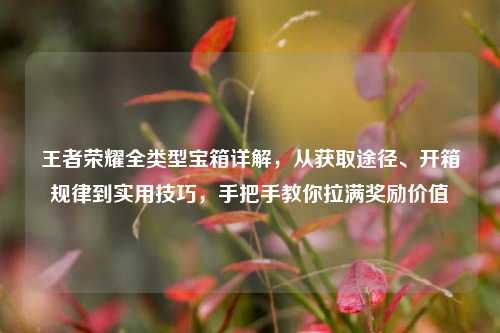 王者荣耀全类型宝箱详解,从获取途径、开箱规律到实用技巧,手把手教你拉满奖励价值