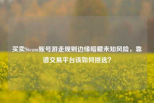 买卖Steam账号游走规则边缘暗藏未知风险,靠谱交易平台该如何挑选?