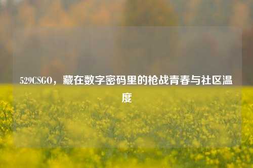 529CSGO,藏在数字密码里的枪战青春与社区温度
