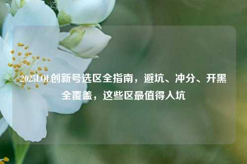 2025LOL创新号选区全指南，避坑、冲分、开黑全覆盖，这些区最值得入坑
