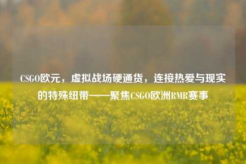 CSGO欧元,虚拟战场硬通货,连接热爱与现实的特殊纽带——聚焦CSGO欧洲RMR赛事