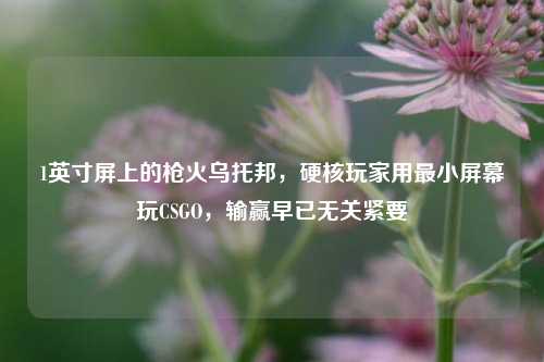1英寸屏上的枪火乌托邦,硬核玩家用最小屏幕玩CSGO,输赢早已无关紧要