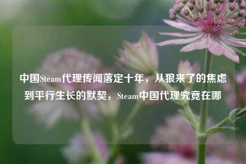 中国Steam代理传闻落定十年,从狼来了的焦虑到平行生长的默契,Steam中国代理究竟在哪