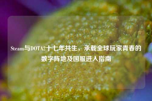 Steam与DOTA2十七年共生,承载全球玩家青春的数字阵地及国服进入指南