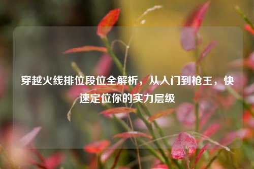 穿越火线排位段位全解析，从入门到枪王，快速定位你的实力层级