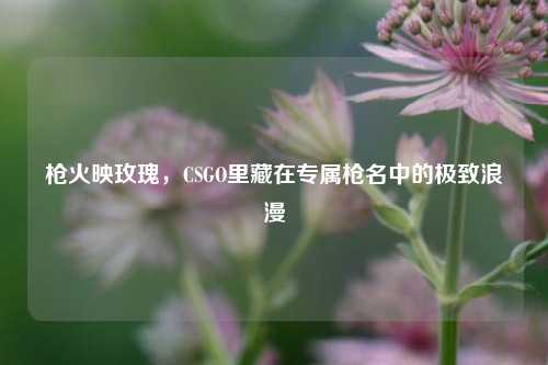 枪火映玫瑰,CSGO里藏在专属枪名中的极致浪漫