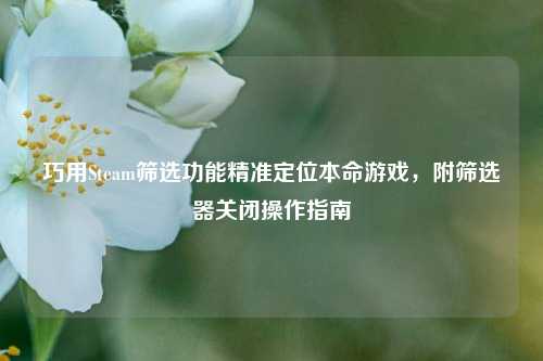 巧用Steam筛选功能精准定位本命游戏，附筛选器关闭操作指南