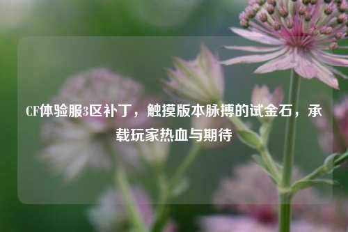CF体验服3区补丁，触摸版本脉搏的试金石，承载玩家热血与期待