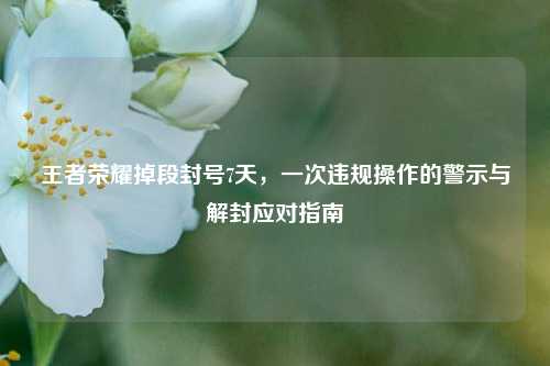 王者荣耀掉段封号7天,一次违规操作的警示与解封应对指南