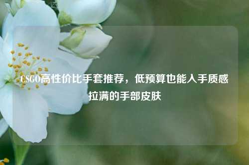 CSGO高性价比手套推荐，低预算也能入手质感拉满的手部皮肤