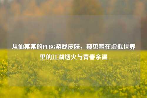 从仙某某的PUBG游戏皮肤，窥见藏在虚拟世界里的江湖烟火与青春余温