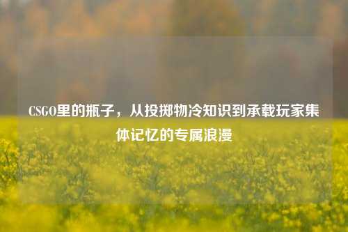 CSGO里的瓶子,从投掷物冷知识到承载玩家集体记忆的专属浪漫