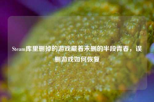 Steam库里删掉的游戏藏着未删的半段青春,误删游戏如何恢复