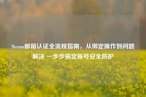 Steam邮箱认证全流程指南,从绑定操作到问题解决 一步步搞定账号安全防护