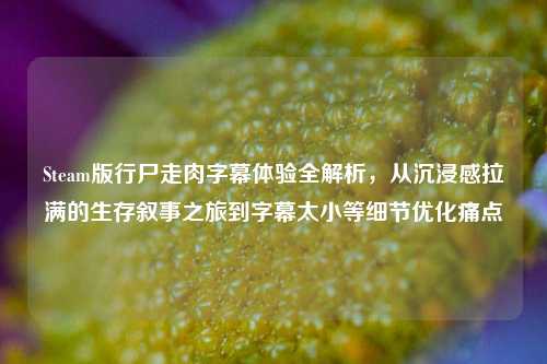 Steam版行尸走肉字幕体验全解析,从沉浸感拉满的生存叙事之旅到字幕太小等细节优化痛点