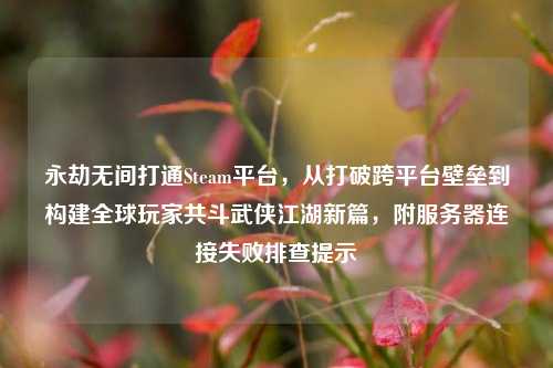 永劫无间打通Steam平台,从打破跨平台壁垒到构建全球玩家共斗武侠江湖新篇,附服务器连接失败排查提示
