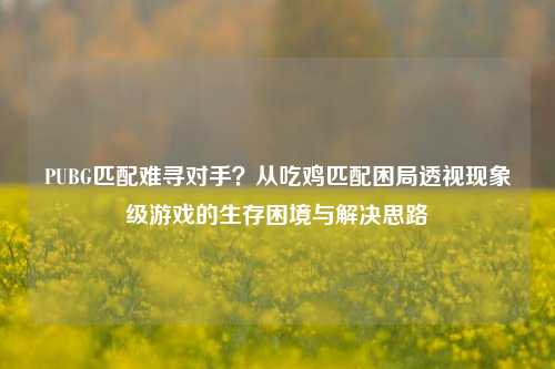 PUBG匹配难寻对手?从吃鸡匹配困局透视现象级游戏的生存困境与解决思路