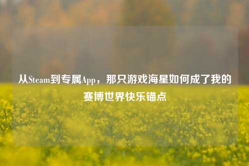 从Steam到专属App,那只游戏海星如何成了我的赛博世界快乐锚点
