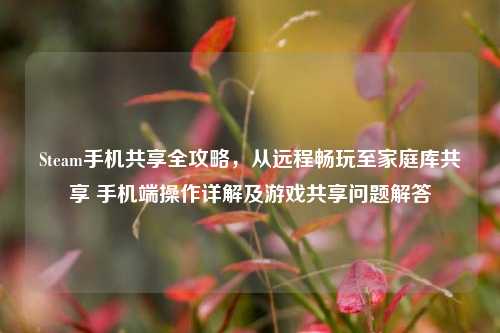 Steam手机共享全攻略，从远程畅玩至家庭库共享 手机端操作详解及游戏共享问题解答