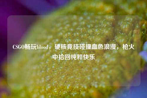 CSGO畅玩blood,硬核竞技碰撞血色浪漫,枪火中拾回纯粹快乐