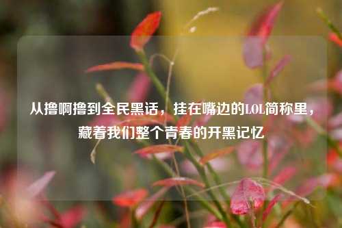 从撸啊撸到全民黑话,挂在嘴边的LOL简称里,藏着我们整个青春的开黑记忆
