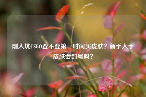 刚入坑CSGO要不要第一时间买皮肤？新手入手皮肤会封号吗？