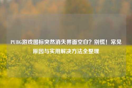 PUBG游戏图标突然消失界面空白？别慌！常见原因与实用解决方法全整理