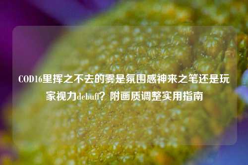 COD16里挥之不去的雾是氛围感神来之笔还是玩家视力debuff?附画质调整实用指南