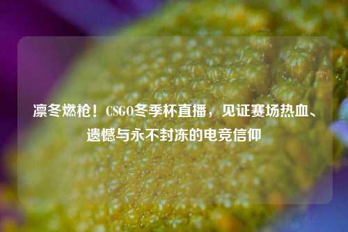 凛冬燃枪!CSGO冬季杯直播,见证赛场热血、遗憾与永不封冻的电竞信仰