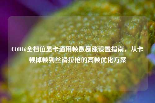 COD16全档位显卡通用帧数暴涨设置指南,从卡顿掉帧到丝滑拉枪的高帧优化方案