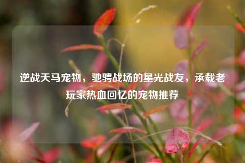 逆战天马宠物,驰骋战场的星光战友,承载老玩家热血回忆的宠物推荐