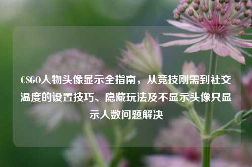CSGO人物头像显示全指南,从竞技刚需到社交温度的设置技巧、隐藏玩法及不显示头像只显示人数问题解决