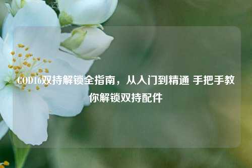 COD16双持解锁全指南,从入门到精通 手把手教你解锁双持配件