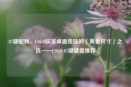 87键配列,CSGO玩家桌面竞技的「黄金尺寸」之选——CSGO 87键键盘推荐