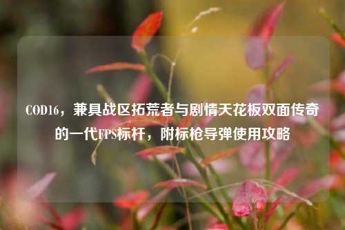 COD16，兼具战区拓荒者与剧情天花板双面传奇的一代FPS标杆，附标枪导弹使用攻略