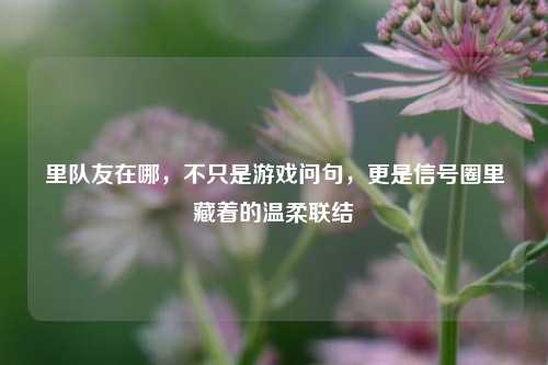 里队友在哪,不只是游戏问句,更是信号圈里藏着的温柔联结