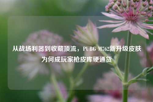 从战场利器到收藏顶流,PUBG M762新升级皮肤为何成玩家枪皮库硬通货